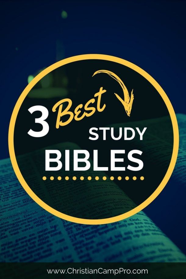 3 Best Study Bibles